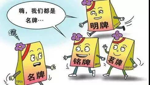 2025年新澳资料大全，正版资料的选择与警惕虚假宣传