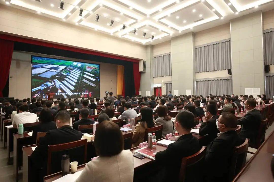 2025新澳门全年免费，精选解析解释落实