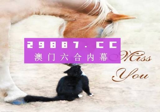 4949澳门开奖结果查询，精选解析解释落实